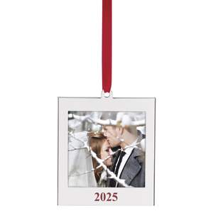 Elevated Amazon Traditional Christmas Decor