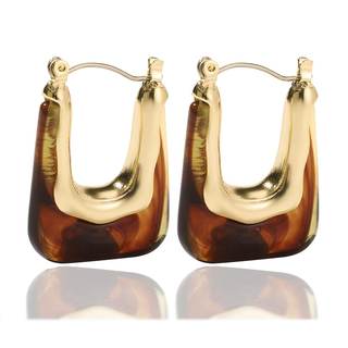Acrylic Hoop Earrings Colour Resin Earrings Geometric Acrylic Minimalist Clear Chunky…