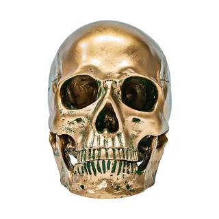ECYC 1:1 Resin Human Skull Model Halloween Props Home Decorations High Fidelity Skull…