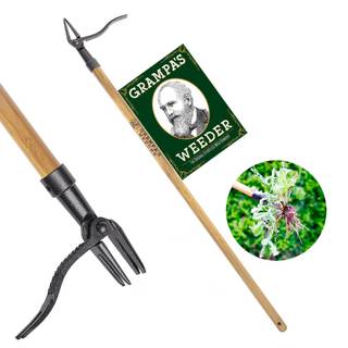 Grampa's Weeder Original Stand Up Weed Puller Tool with Bamboo Long Handle | 4-Claw Steel…