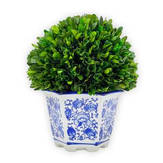 Galt International 9.5" Naturally Preserved Real Boxwood Ball in Hand-Painted Blue &…