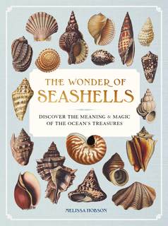 The Wonder of Seashells: Discover the Meaning & Magic of the Ocean’s Treasures (Ocean…