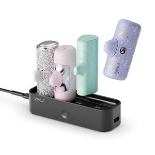 iWALK Charger Station for Portable Charger 4500mAh,4800mAh, 5000mAh, Power Bank for…