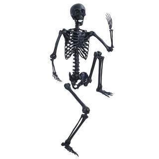 5.4FT/165cm Skeleton Life Size Full Body, 5FT Posable Halloween Skeleton Decor, Life Body…