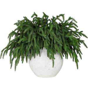 LZNPA 12 Pcs Realistic Christmas Pine Branches Natural Droopy Soft Bendable Artificial…