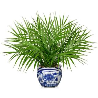 Hollyone Large Artificial Potted Plants Fake Palm Plants 16" Faux Green Plant Plastic…