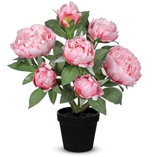 Hollyone Pink Fake Peonies Artificial Flowers in Pot 16.9" Small Peonies Tree Indoor…