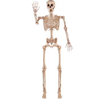 JOYIN 5.6 FT Halloween Posable Life Size Skeleton, Full Body Realistic Bones with Movable…