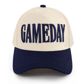 Gameday Hat Vintage Embroidered Professional Football Season Cap | Retro Team Color…