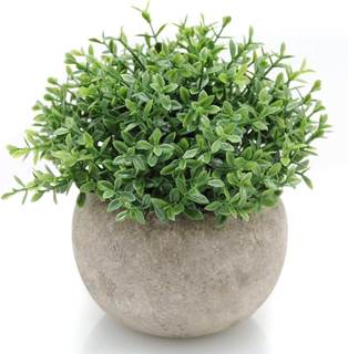 Velener Mini Sage Green Potted Boxwood Topiary Artificial Plants for Home Decor Indoor…