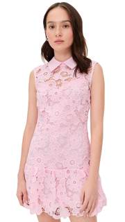 Self Portrait Women's Lace Collared Mini Dress 8 Pink