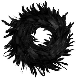JOYIN 13.5" Black Natural Feathers Wreath for Halloween Decorations, Spooky Scene Party…