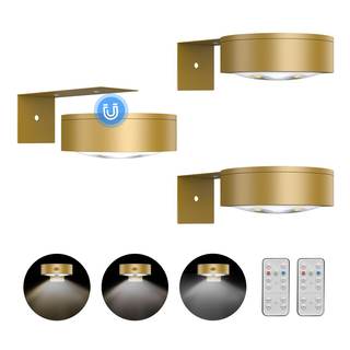 3Pack Picture Light Battery Operated Painting Lights for Wall Wireless Magnetic Display…