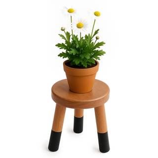 Rubber Wood 9" Round Plant Stand |Dip Dyed Black Stool, Wood Riser |Milking Stool (10" H)…